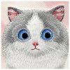 NIMMY tok BIG EYED PET 2.0 Cat IPHONE 16-hoz rózsaszín