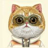 NIMMY tok COOL&CUTE 2.0 Cat IPHONE 16-hoz khaki