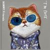 NIMMY tok üvegES COOL CAT IPHONE 16 Pro Max szürke