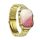 HOCO smartwatch Y12 Ultra smart sports watch (call version) light gold