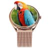 Smartwatch TITMO O-170 (AMOLED, bluetooth call, stainless steal gold mesh strap) gold