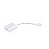 Cable HDMI (női) to Type C 3.1 (férfi) Plug & Play 4K