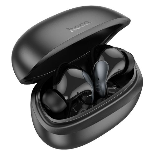 Wireless earphones Hoco TWS ANC + ENC EQ5 black