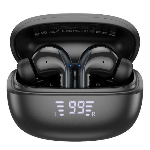 Wireless earphones Hoco TWS ANC + ENC EQ5 black