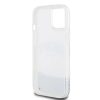 DKNY Liquid Glitter Arch Logo tok iPhone 15 készülékhez átlátszó